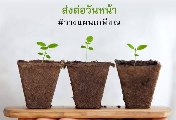เริ่มต้นวันนี้
